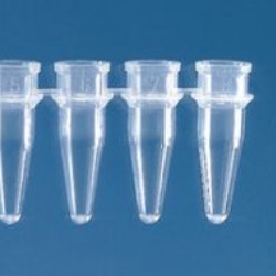 Microtube barrette 12 tubes 0.2 ml incolore sans capuchon